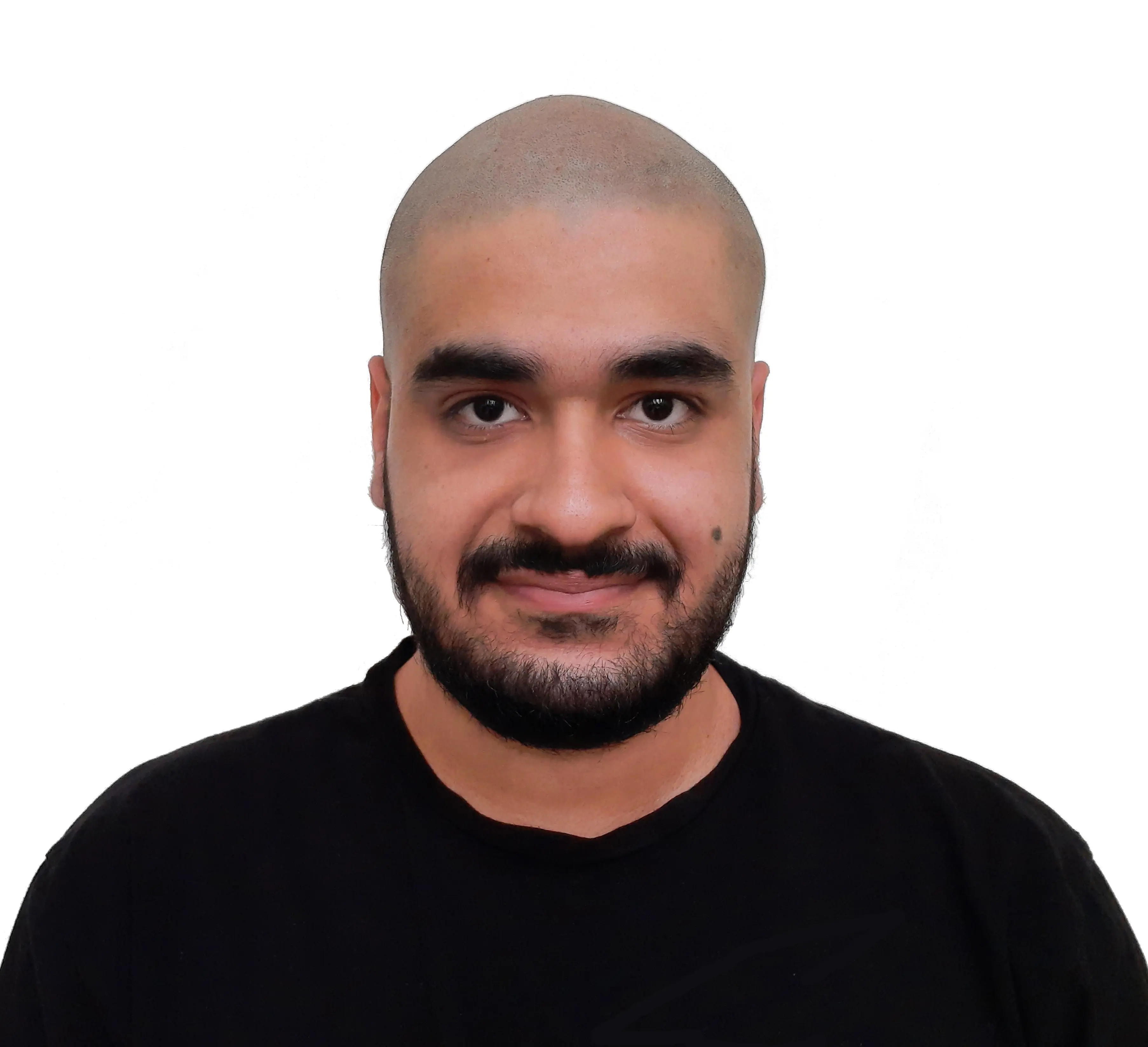 آرین حسنی